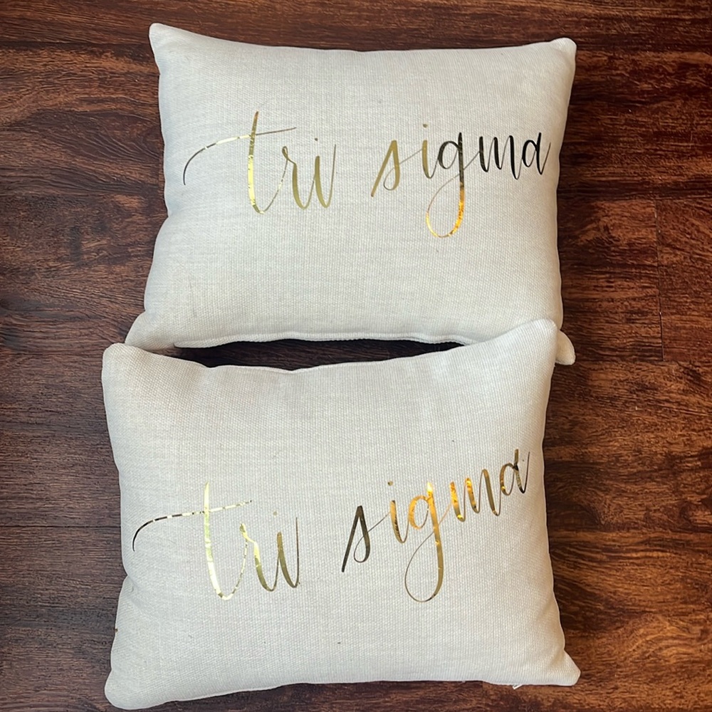 two TRI SIGMA throw pillows